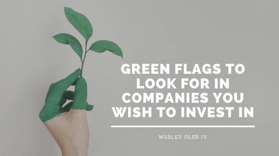 Green Flags to Look for in Companies You Wish to Invest In